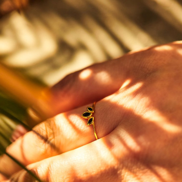 Rings banner collection
