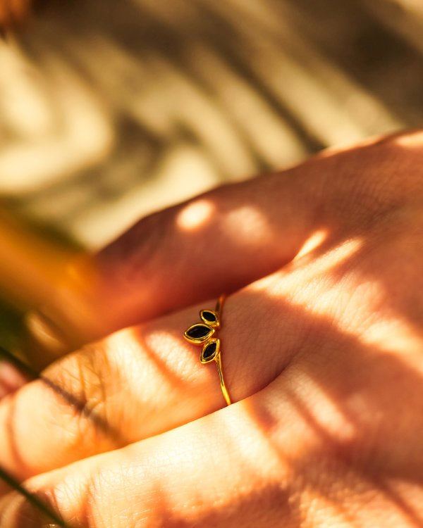 Rings banner collection