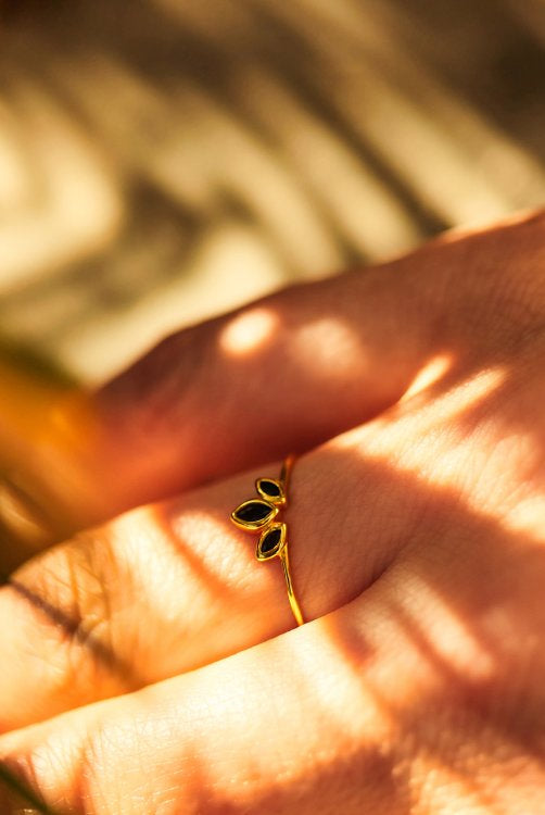 Rings banner collection