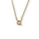 Jasseron Ketting Dames Met Veerslot Isa- Goldfilled - Boeisluiting - Kleur: Goud