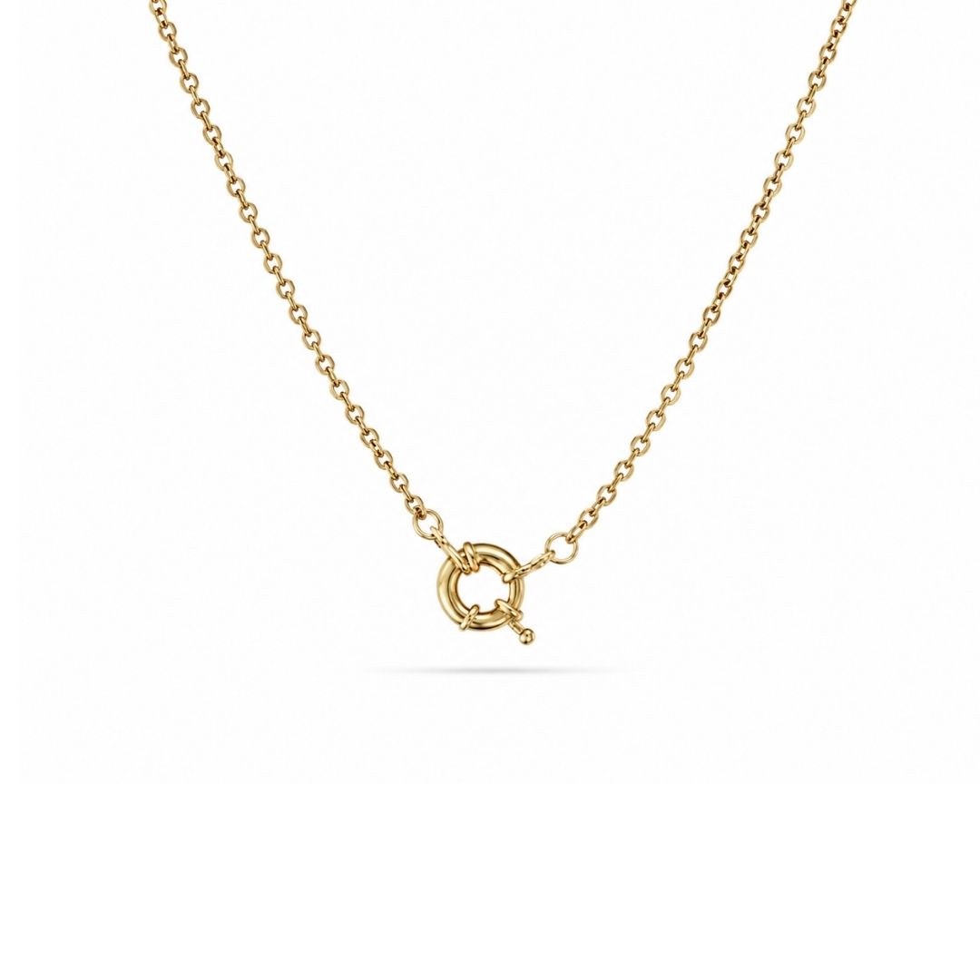 Jasseron ketting goud van goldfilled brass